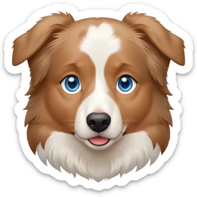 white and light brown australian shepherd with blue eyes sticker