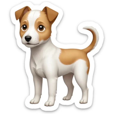 a full body slightly chubby white parson russell terrier looking dog the size of a kelpie with light brown long ears and a light brown patch on one eye and a large snout. the rest of the dog is completely whiteforward facing sticker