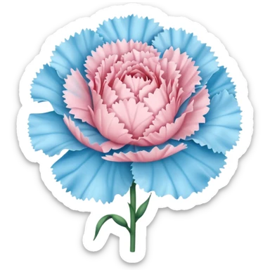 Pastel pink and pastel blue carnation flower sticker