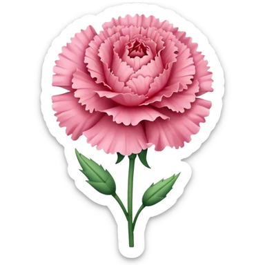 create a pink carnation flower with a stem sticker