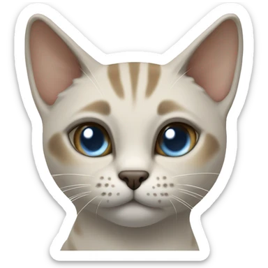 Thai breed adult cat with a light cream-brown body, dark gray nose and face, ears, and paws. sharp ears, and striking light blue eyes  sticker