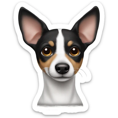 rat terrier dog with all black head, only black and white fur sticker