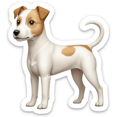 a full body buff white parson russell terrier looking dog the size of a kelpie with light brown long ears and a light brown patch on one eye and a large snout. the rest of the dog is completely white. forward facing sticker