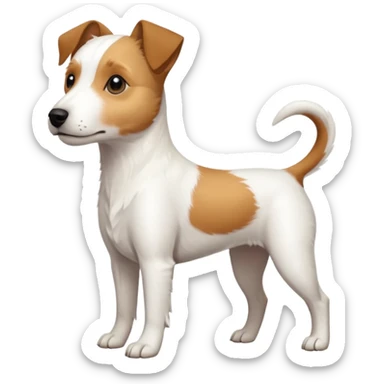 a full body slightly chubby white parson russell terrier looking dog the size of a kelpie with light brown long ears and a light brown patch on one eye and a large snout. the rest of the dog is completely white sticker