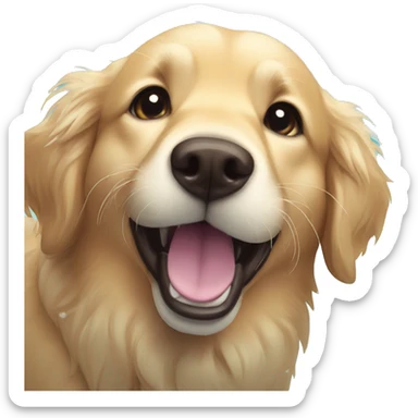 I want a golden retriever in a pool of water and he has a happy expression sticker