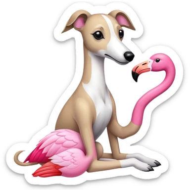 Un lévrier whippet avec sa peluche le flamant rose. sticker