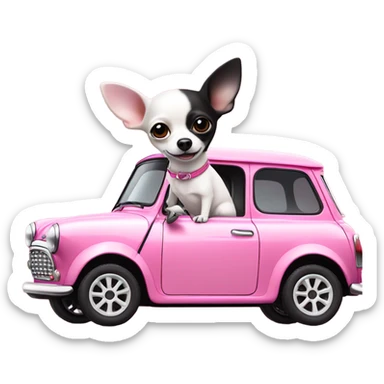 Black and white Chihuahua driving pink mini cooper sticker