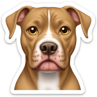 A light brown pitbull femail dog with cripped ears and golden eyes, her face is golden brown without white spots, her chest has a white spot sticker