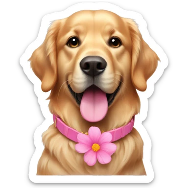 Golden retriever with a pink flower dog collar  sticker