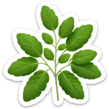 small sprig of fresh oregano with oval slightly fuzzy green leaves on thin tender stems, leaves clustered and layered with subtle natural curves and soft midrib veins, color ranges from vibrant to muted green, no pot scissors or extras, apple emoji style, soft lighting, subtle shadows, emoji scale sticker