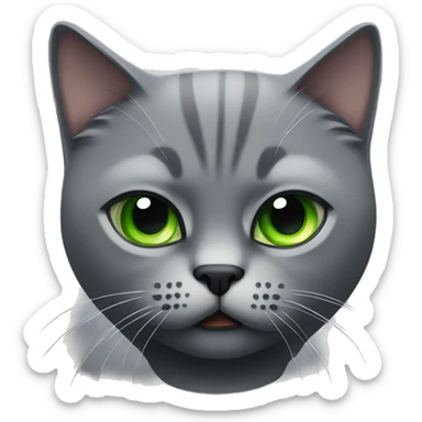 Dark grey angry British short hair cat with green eyes  sticker
