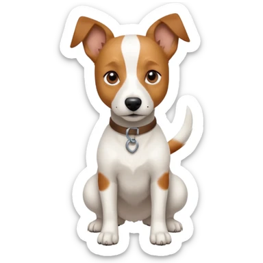 a full body white jack russel looking dog the size of a kelpie with light brown ears and a light brown patch on one eye and a large snout sticker