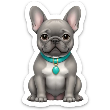 Grey French bulldog with turquoise collar sitting facing forward sticker