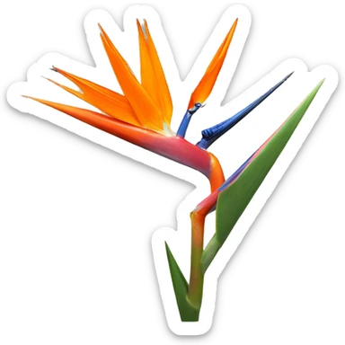 Strelitzia  sticker