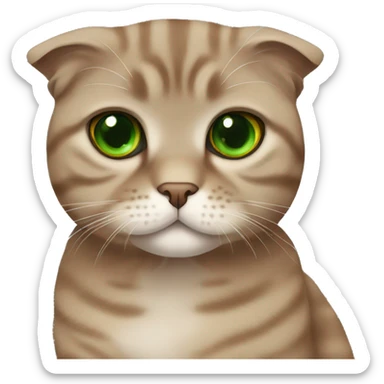 Brown scottish fold cat with green eyes  sticker