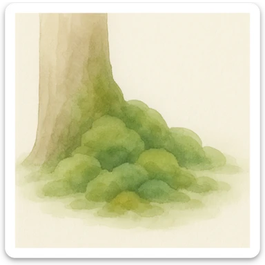 moss on a tree base, watercolor illustration, gentle brushstrokes, natural greens and browns sticker