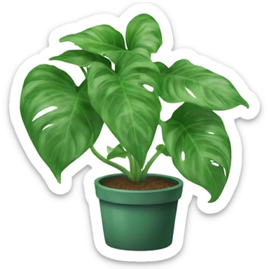 Pothos plant sticker