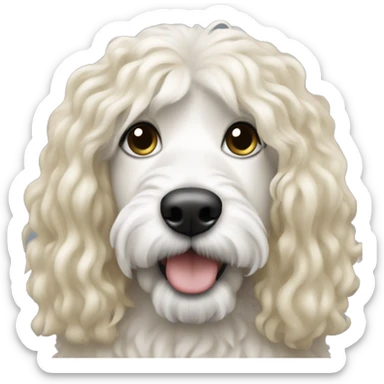 white woman with long blonde hair with a black and white colored bernadoodle dog  sticker