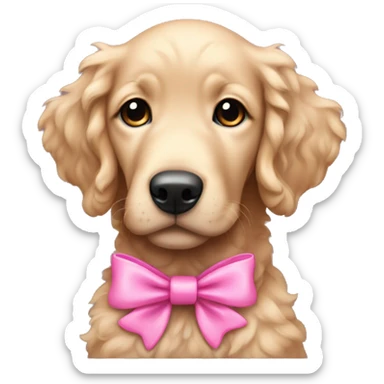 female curly black retriever puppy with pink bows above her ears sticker