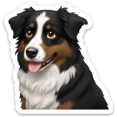 Small black australian shepherd dog with dark brown eyes and black face sticker