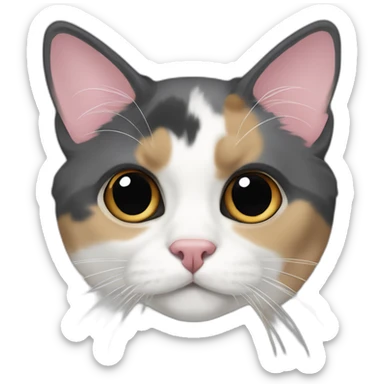 older diluted calico, white chin, black and pink nose, mostly dark grey with whiteish beige forehead sticker