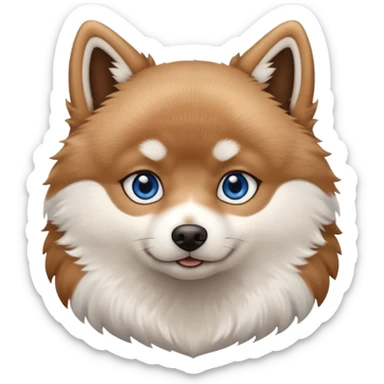 A Brown, light tan and white pomsky with one brown eye and one blue eye sticker