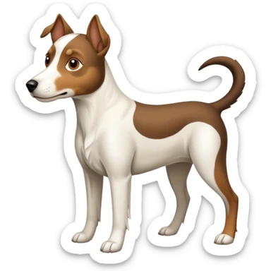 a full body large white floppy eared parson russell looking dog the size of a kelpie with light brown ears and a light brown patch on one eye and a large snout sticker