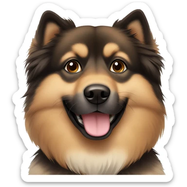 Finnish Lapphund brown. His nose and face is dark brown and black spotted sticker