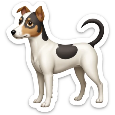 a full body large white parson russell looking dog the size of a kelpie with light brown ears and a light brown patch on one eye and a large snout sticker