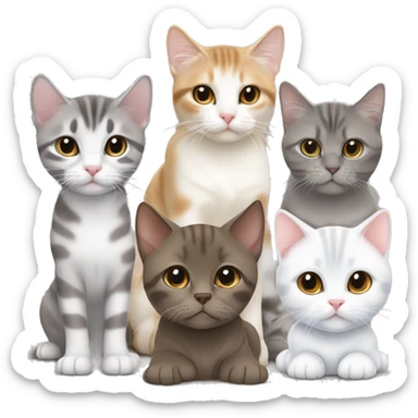 1 brown puppy 1 white tabby cat with half face grey 1 transylvanian cat 1 scottish fold cat sticker