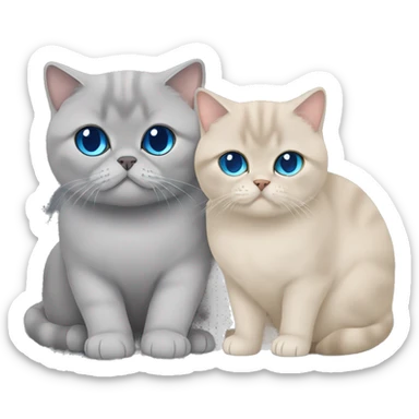Beige british shorthair with blue eyes cuddling with a grey Scottish fold  sticker