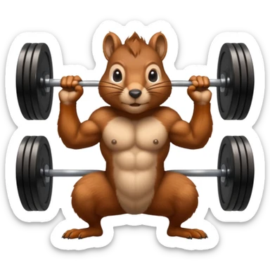 Squirrel dead lift sticker