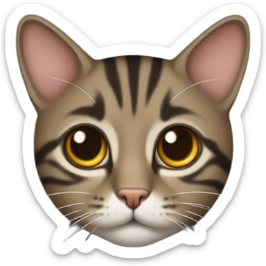 european cat with dark pinstripe tabby color and dark brown wool sticker