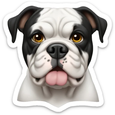 All Black olde English bulldog with white chest patch sticker