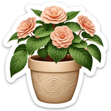 Begonia Rex in a beige pot with spiral pattern leaves sticker