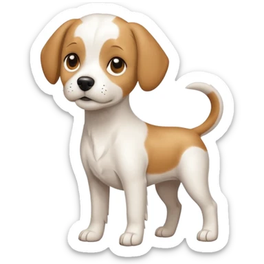 a full body white beagle x maltese x chi dog the size of a kelpie with light brown ears and a light brown patch on one eye sticker