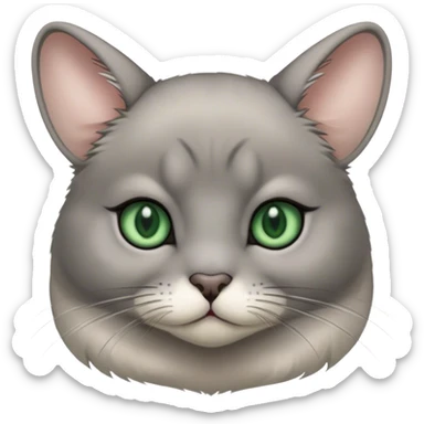 Grey hair and dark green eyes Chinchilla cat sticker