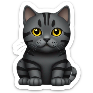 british shorthair cat in the Color black with black smoke stripes with yellow eyes sticker
