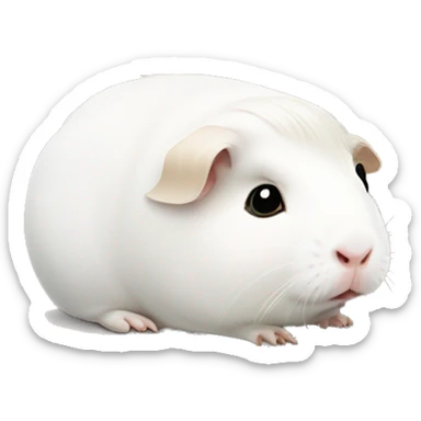 White guinea pig, portrait, she is sad, and dreams of a slice of cucumber sticker