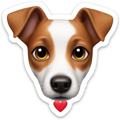 Jack Russell with a heart sticker