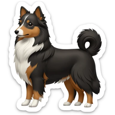 tricolor shetlan sheepdog  silouette sticker