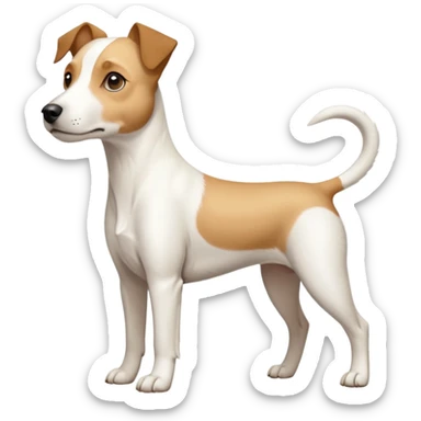 a full body buff white parson russell terrier looking dog the size of a kelpie with light brown long ears and a light brown patch on one eye and a large snout. the rest of the dog is completely white. forward facing sticker