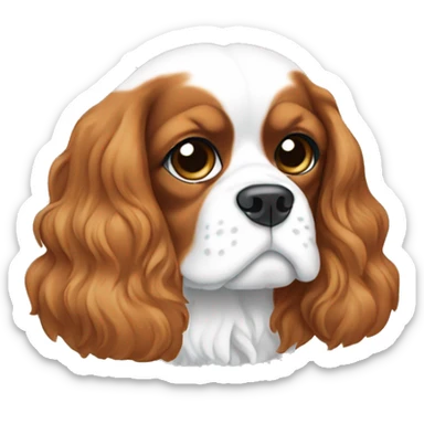 I need a face of my cavalier king charles spaniel dog. Colors white and light brown.  sticker