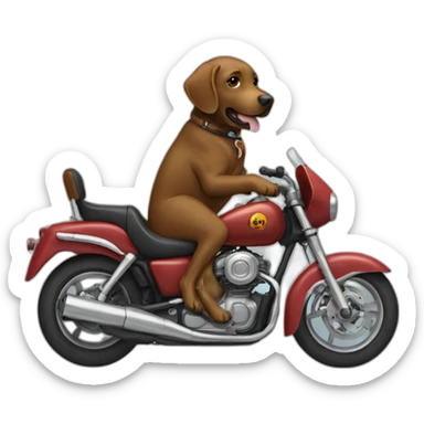brown labrador riding motorcycle sticker