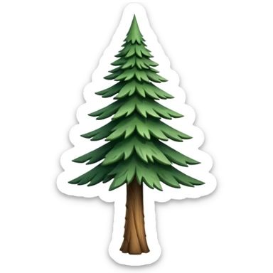 A tall pine tree with layered, pointed branches.






























































 sticker