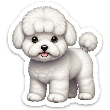 Fluffy bichon frise with stubby legs sticker