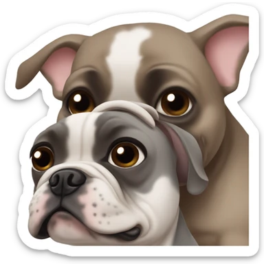 grey french bulldog blue eyes and A girl with brown hair and brown eyes hugging sticker