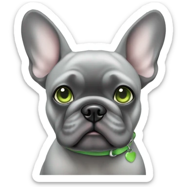 all grey french bulldog with light green eyes sticker