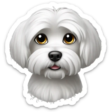 black and white maltese dog sticker