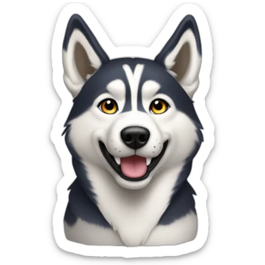 16 HUSKIES sticker